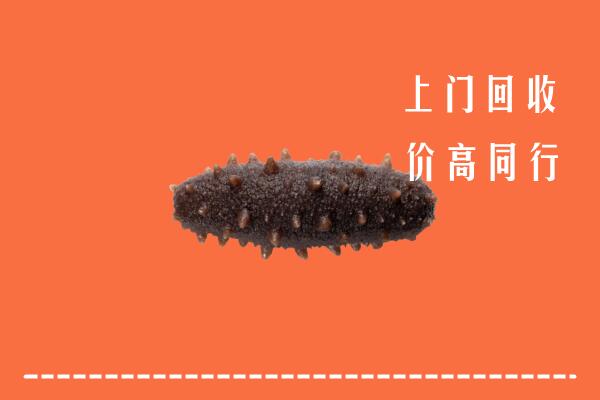 甘南高价回收海参